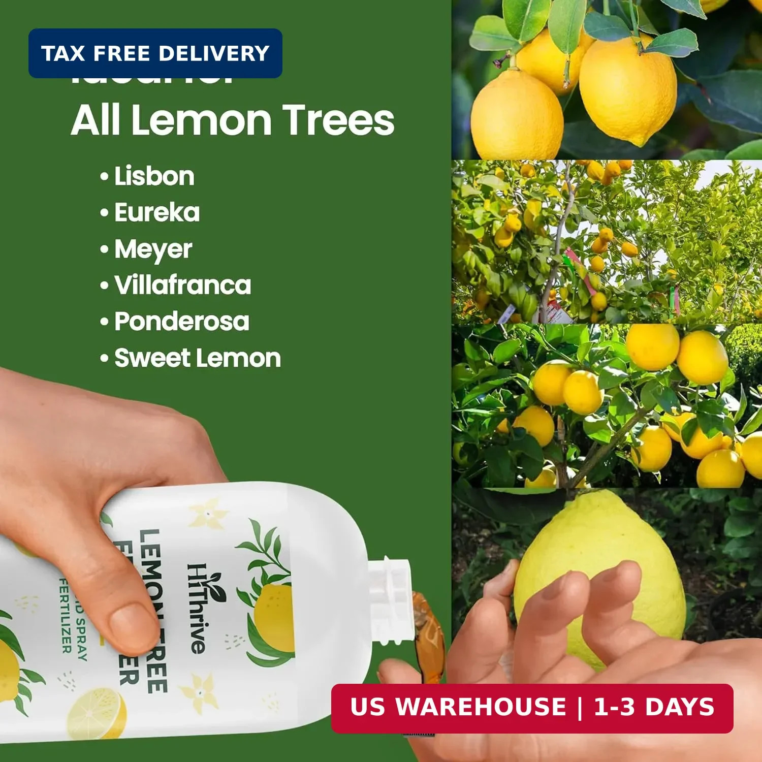 16oz Lemon Tree Fertilizer – Makes 16 Gallons of 2-in-1 Liquid Fertilizer, 4-3-6
