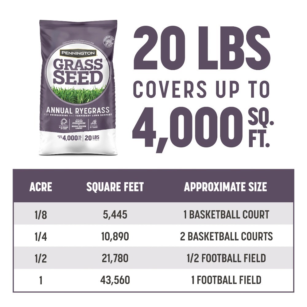 Annual Ryegrass Seed Sun Partial Shade Lawn Turf Fast Growing 20 lb Bag
