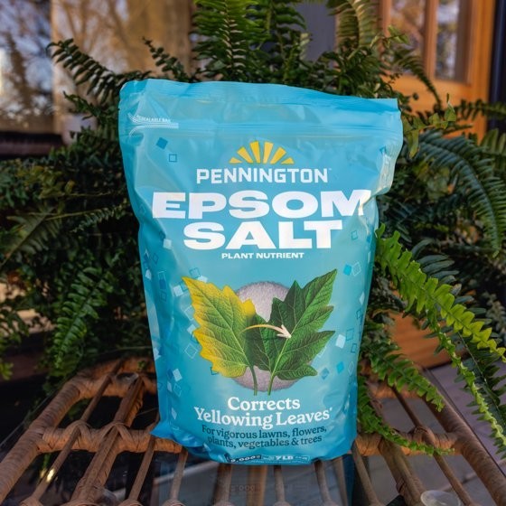 Pennington Epsom Salt Plant Food Fertilizer, 7 Lb