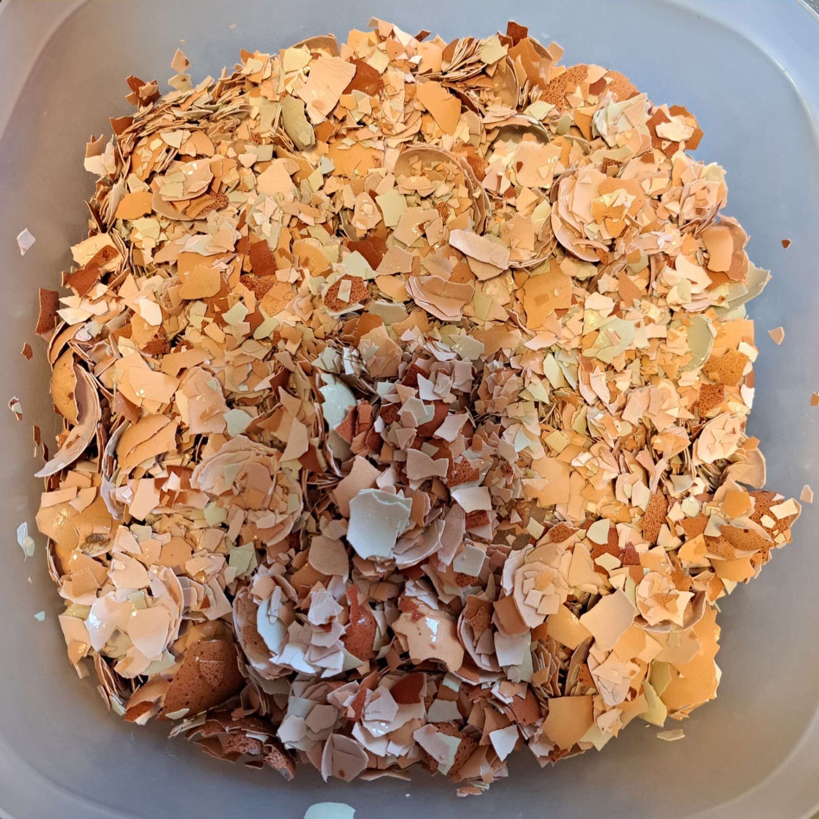 2 lbs ORGANIC Crushed Egg Shells Free Range Garden Fertilizer and Plant Food –