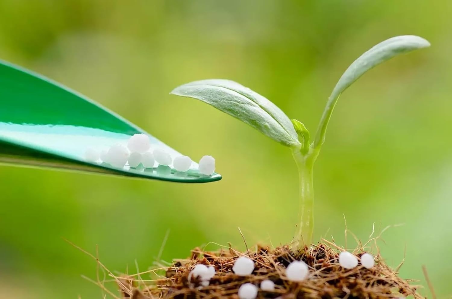 Urea Fertilizer 46-0-0, Nitrogen Fertilizer for Plant Growth and Green Lawns, Fr