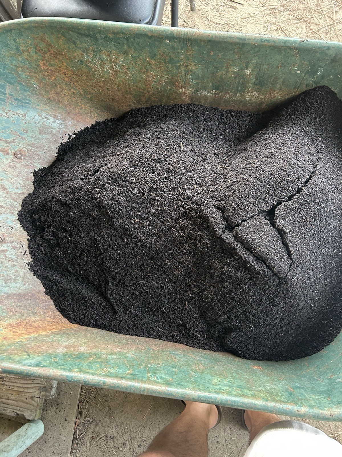 4 Lbs Freshly Sifted Redwiggler Worm Castings Live! Fresh! Screened To 1/8 Inch!