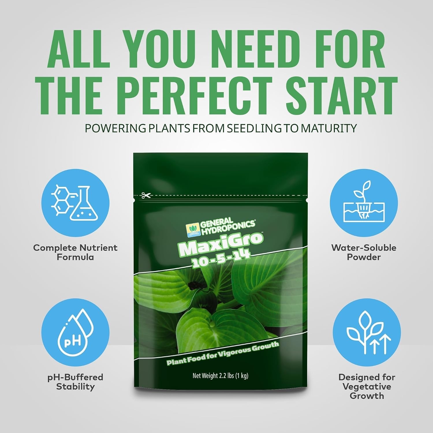 MaxiGro Plant Food for Vigorous Growth, 2.2 lbs.