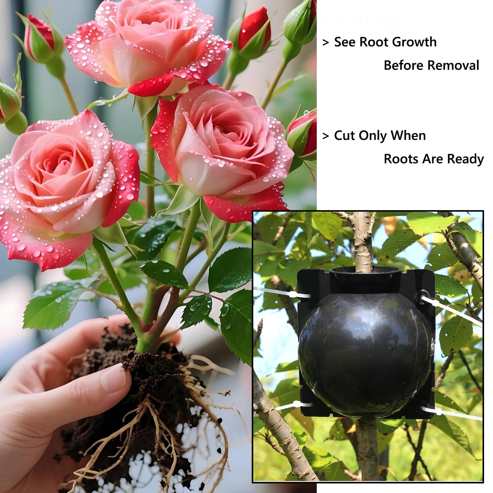 Tree Root Growing Box – Air Layering Propagation Pods for Woody Plants, Re
