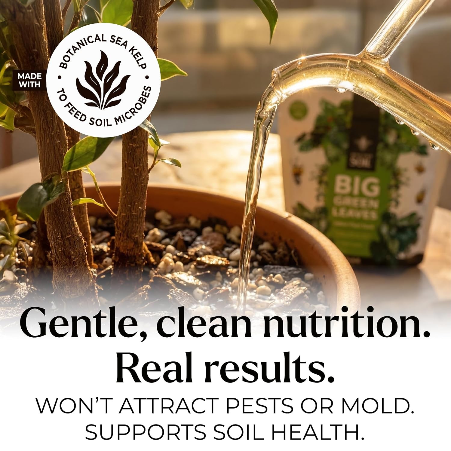 Big Green Leaves Indoor Plant Food – 4X Concentrated Fertilizer, 1 lb | Fast-act