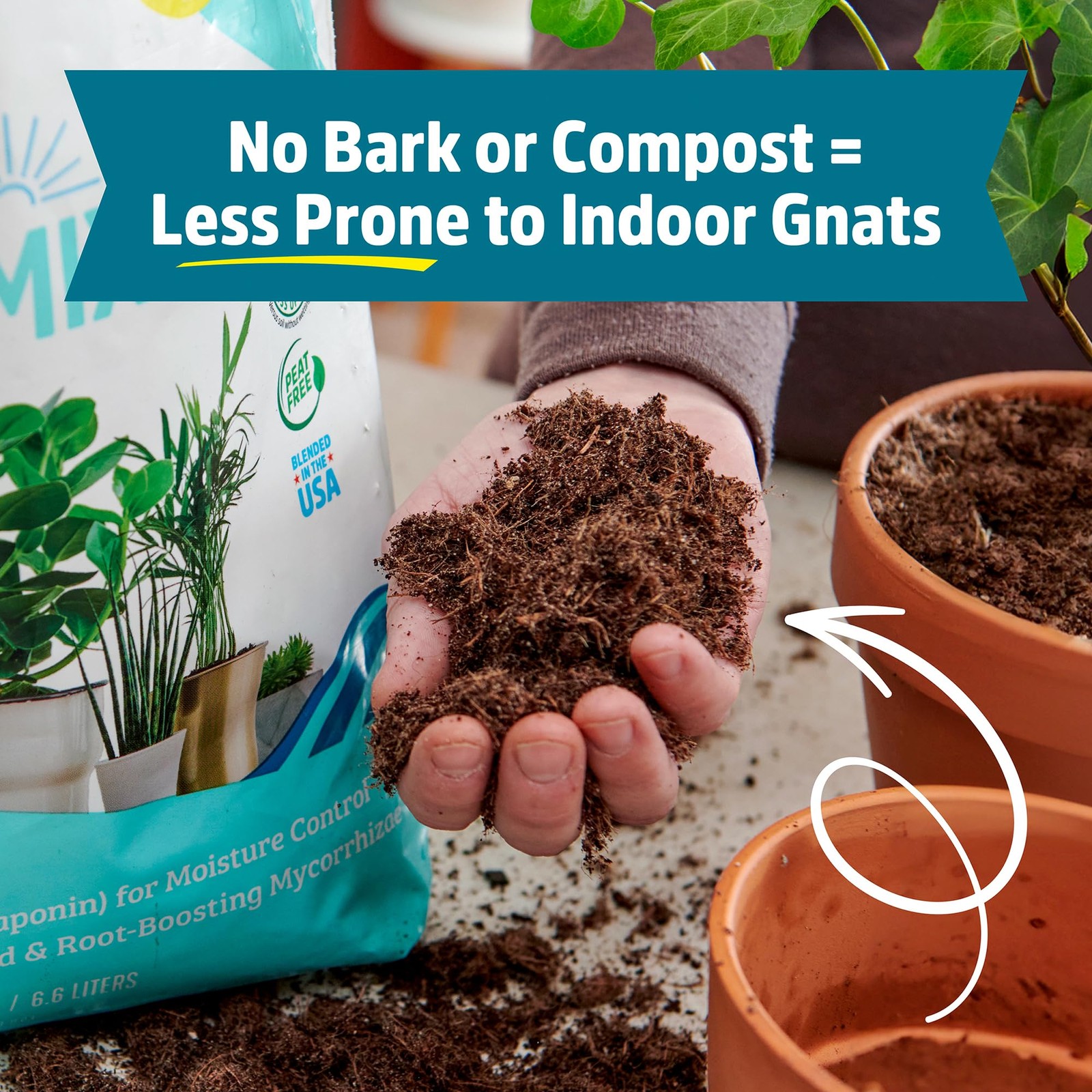 Back to the Roots 100% Organic Indoor Potting Mix (6 Quart, Soil