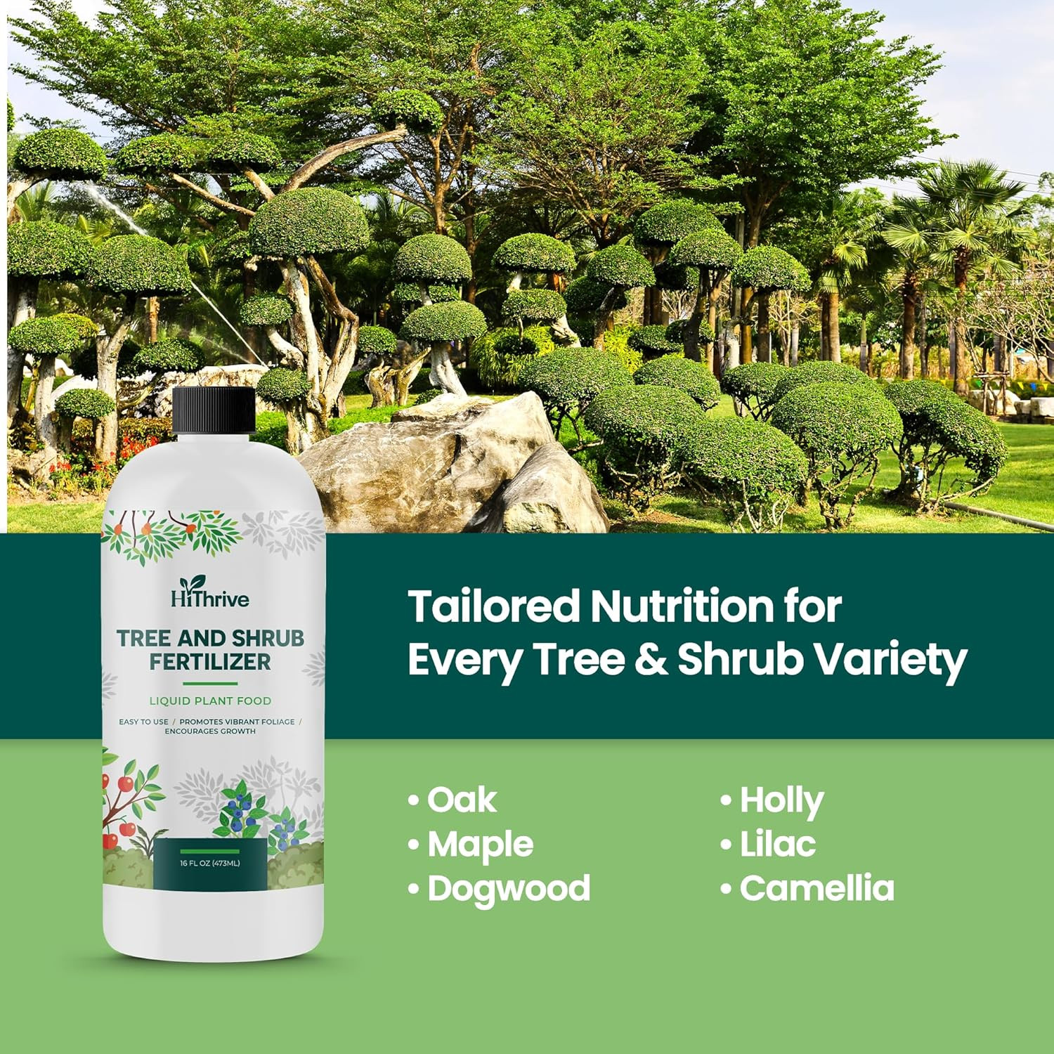 16Oz Tree and Shrub Plant Food – Makes 16 Gallons of Tree and Shrub Fertilizer,