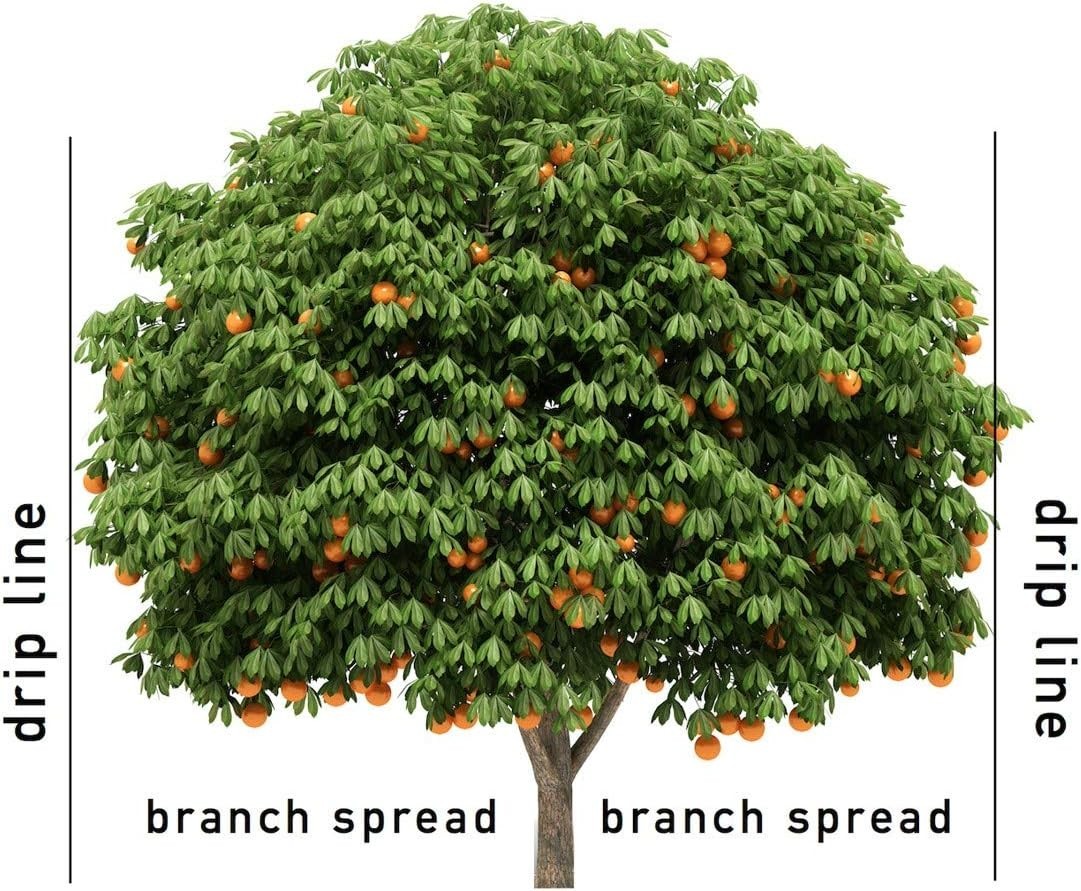 Safe & Effective Jobe’s Fertilizer Spikes for All Fruit & Citrus Trees, 9 Count