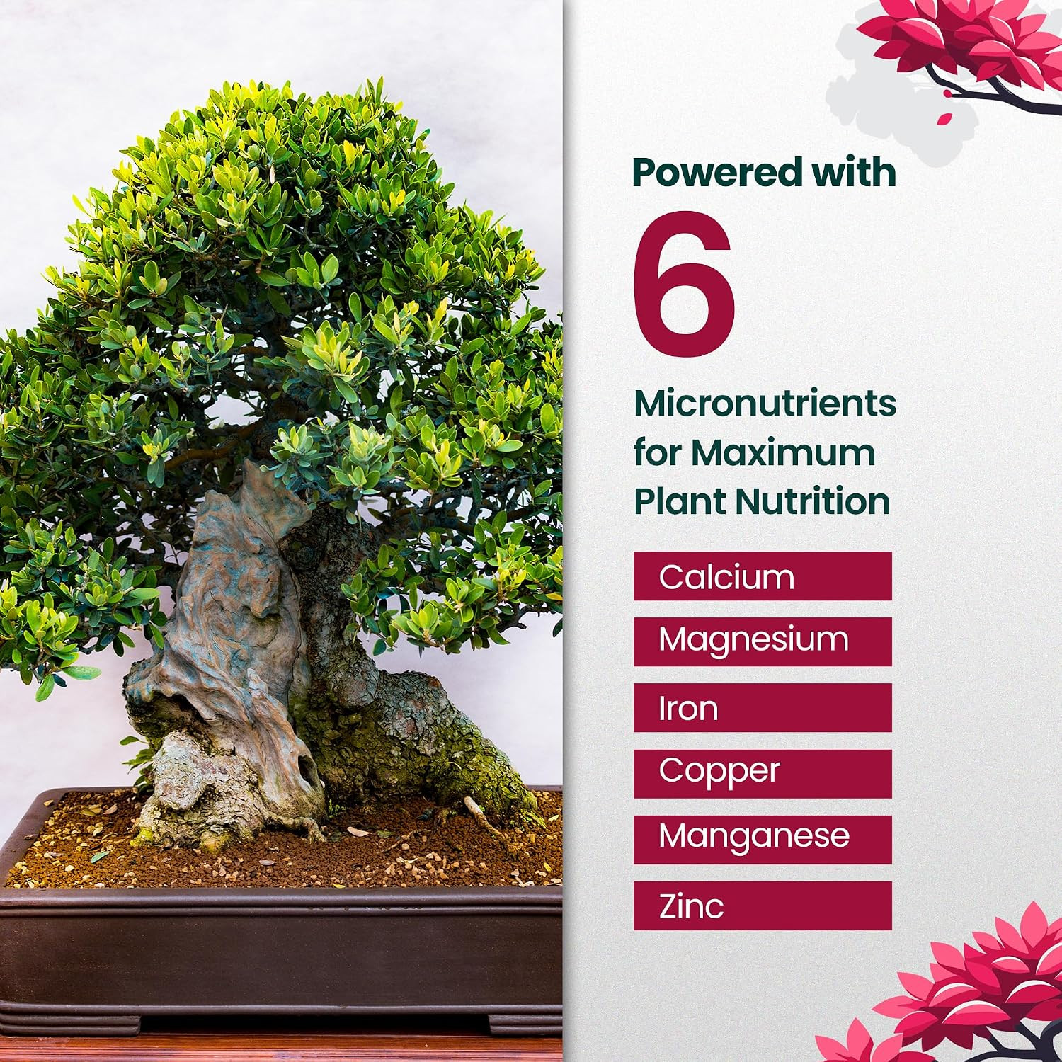 32Oz Bonsai Tree Live Liquid Plant Food – Makes 64 Gallons of Bonsai Fertilizer