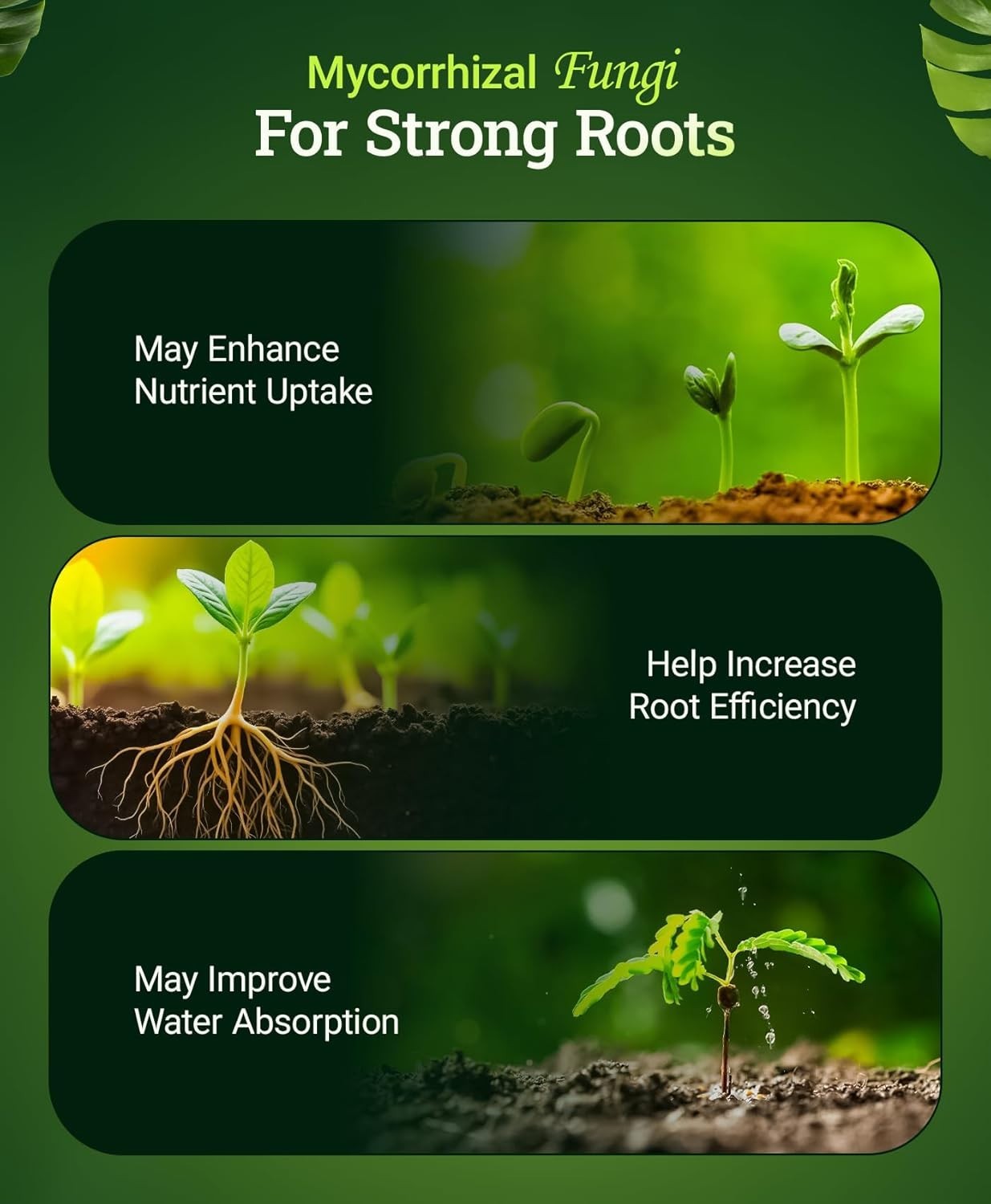 Happy Frog Cavern Culture Fertilizer – 1-12-0 Organic Blend for Bud Development
