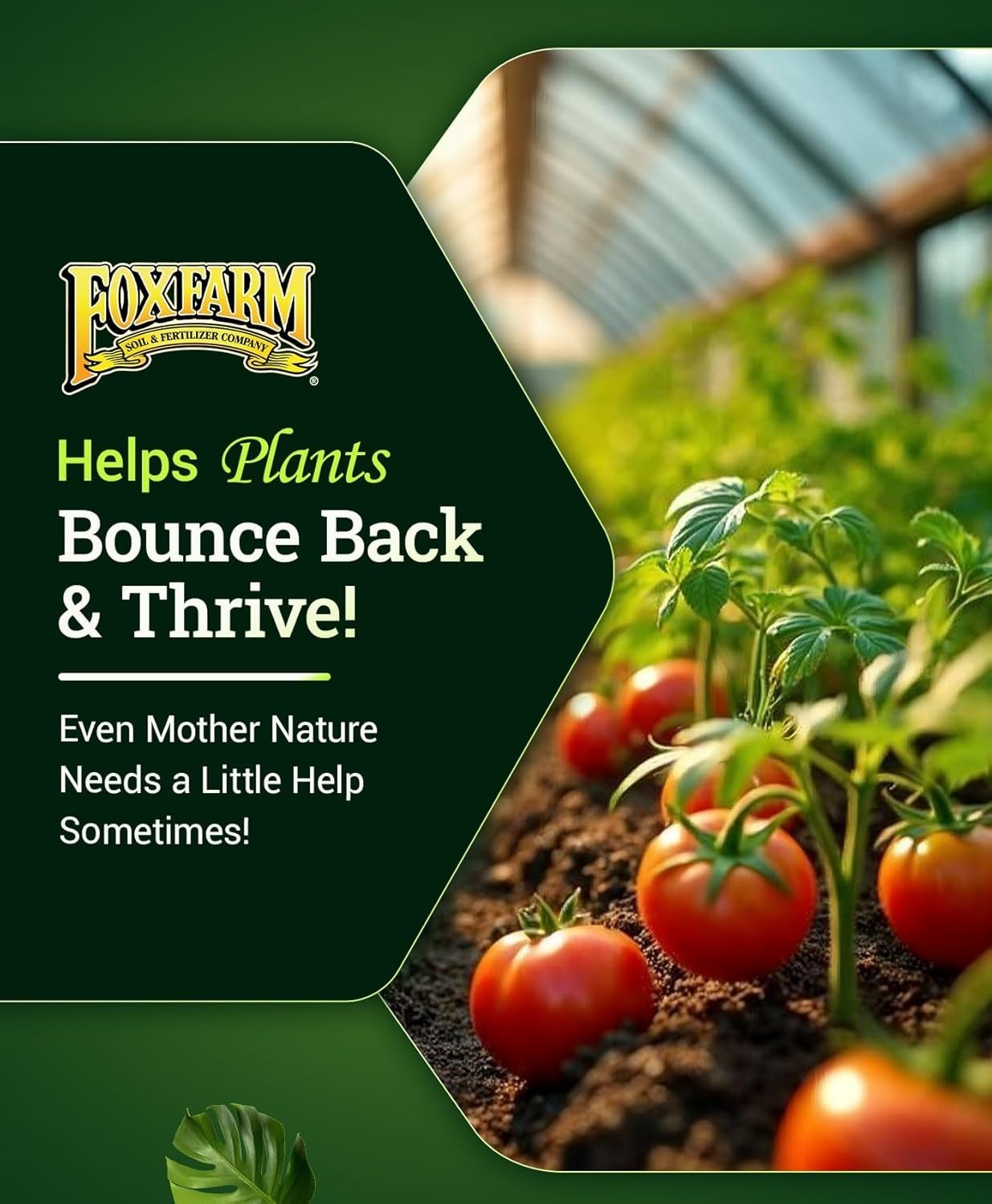 Instant Nutrient Uptake with Bush Doctor Boomerang – Liquid Fertilizer 1 Pint