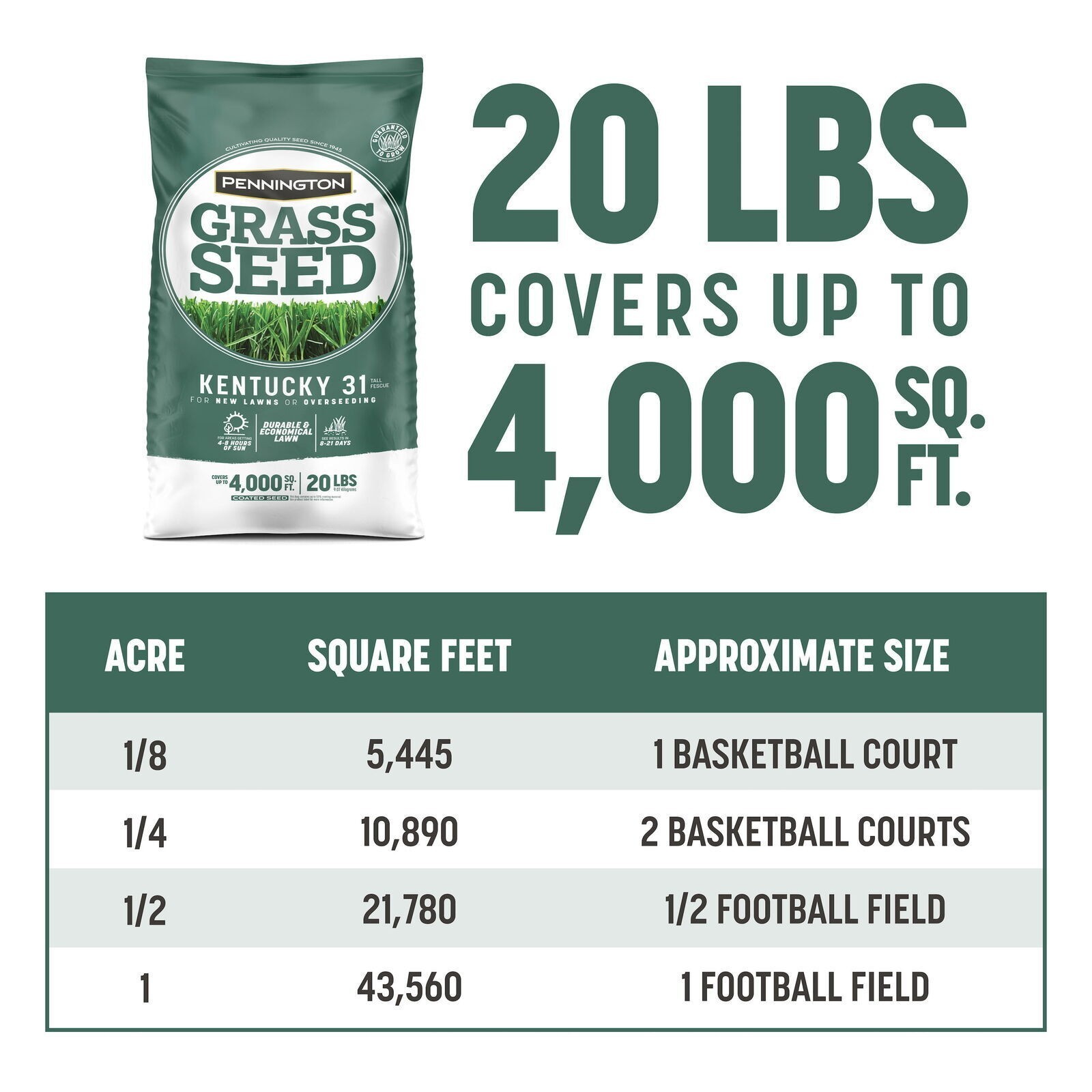 31 Tall Fescue Grass Seed for Sun to Partial Shade 20 lb Covers 4,000 sq. ft.