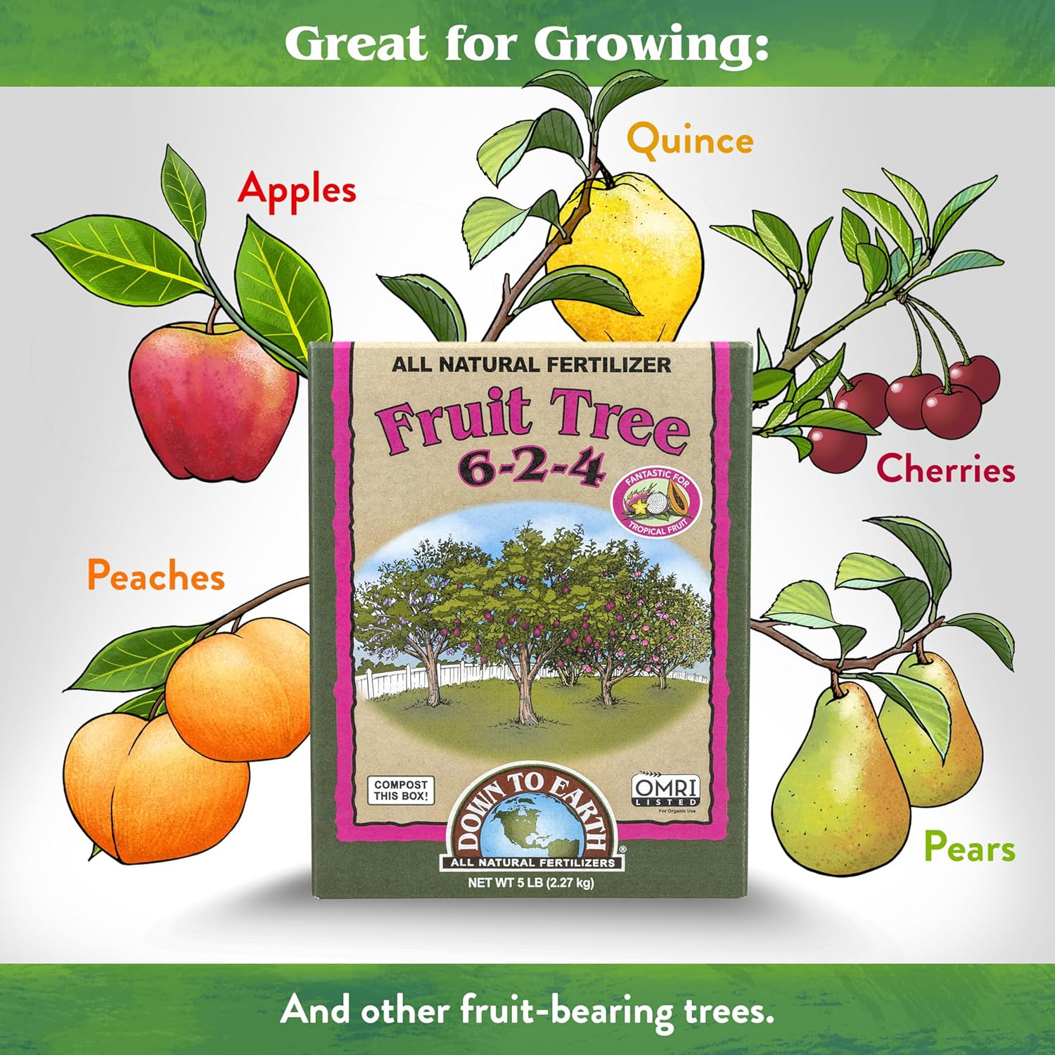 Organic Fruit Tree – Plant Food for Apples, Pears, Plums and Tropical Fruit Tree