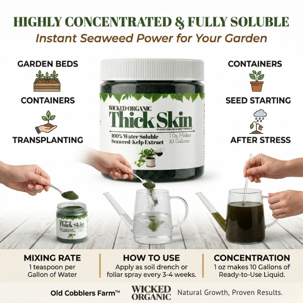 Old Cobblers Farm Wicked Organic Thick Skin Soluble Seaweed Extract Powder