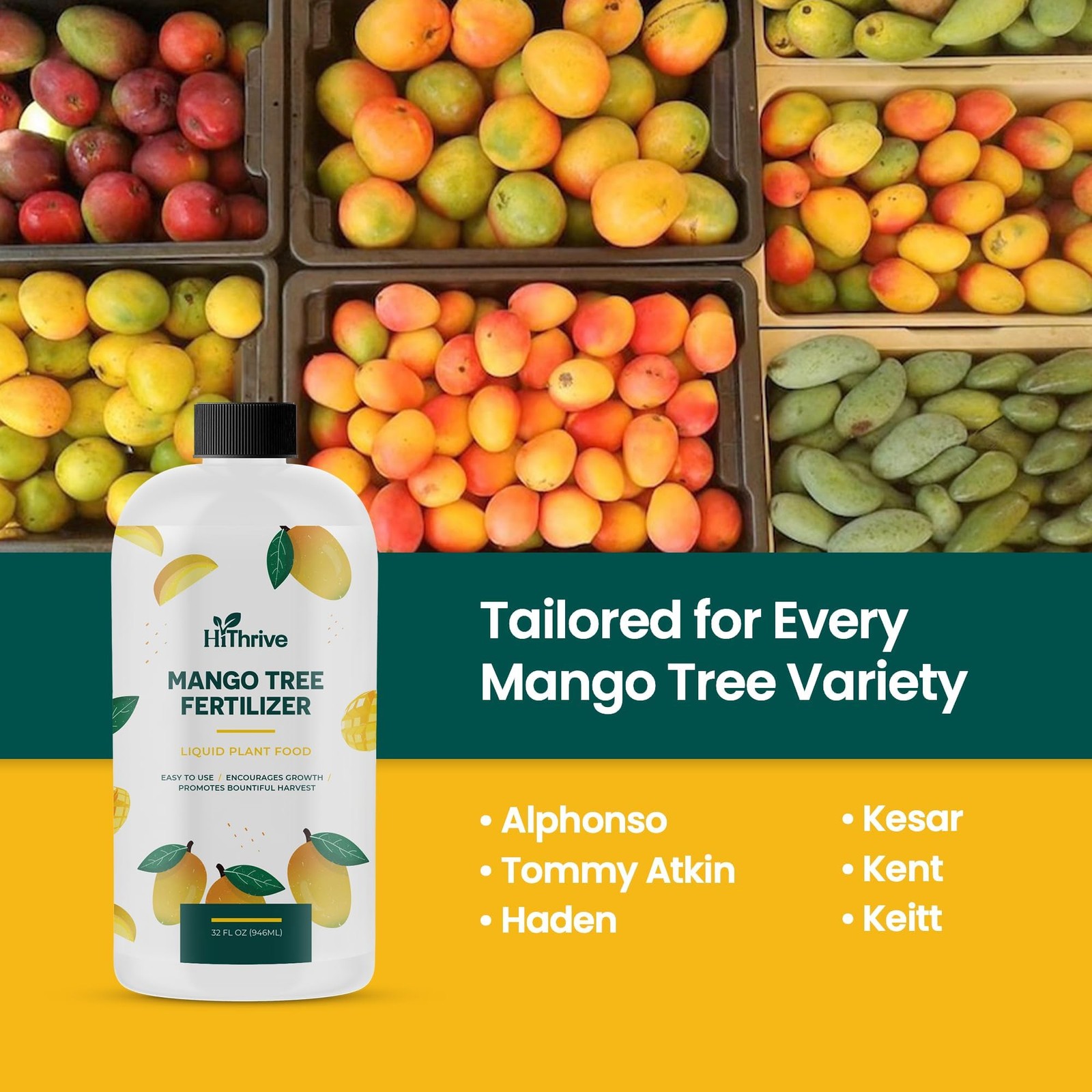 32oz Mango Fruit Tree Fertilizer – Makes 32 Gallons of Mango Tree Fertilizer …