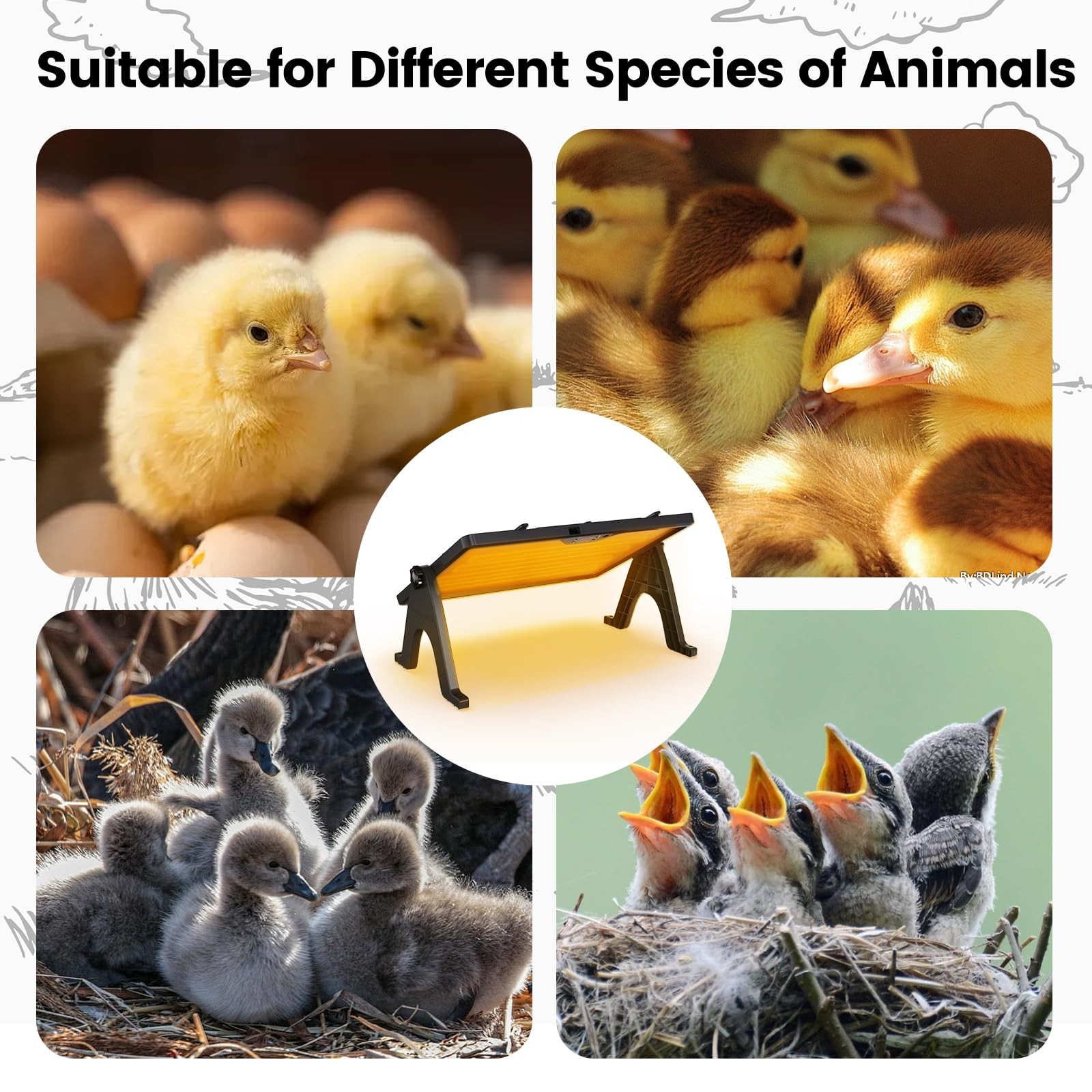 Joyful Xinghai Chick Brooder Plate 12X16.5 Adjustable Double-Sided Heating