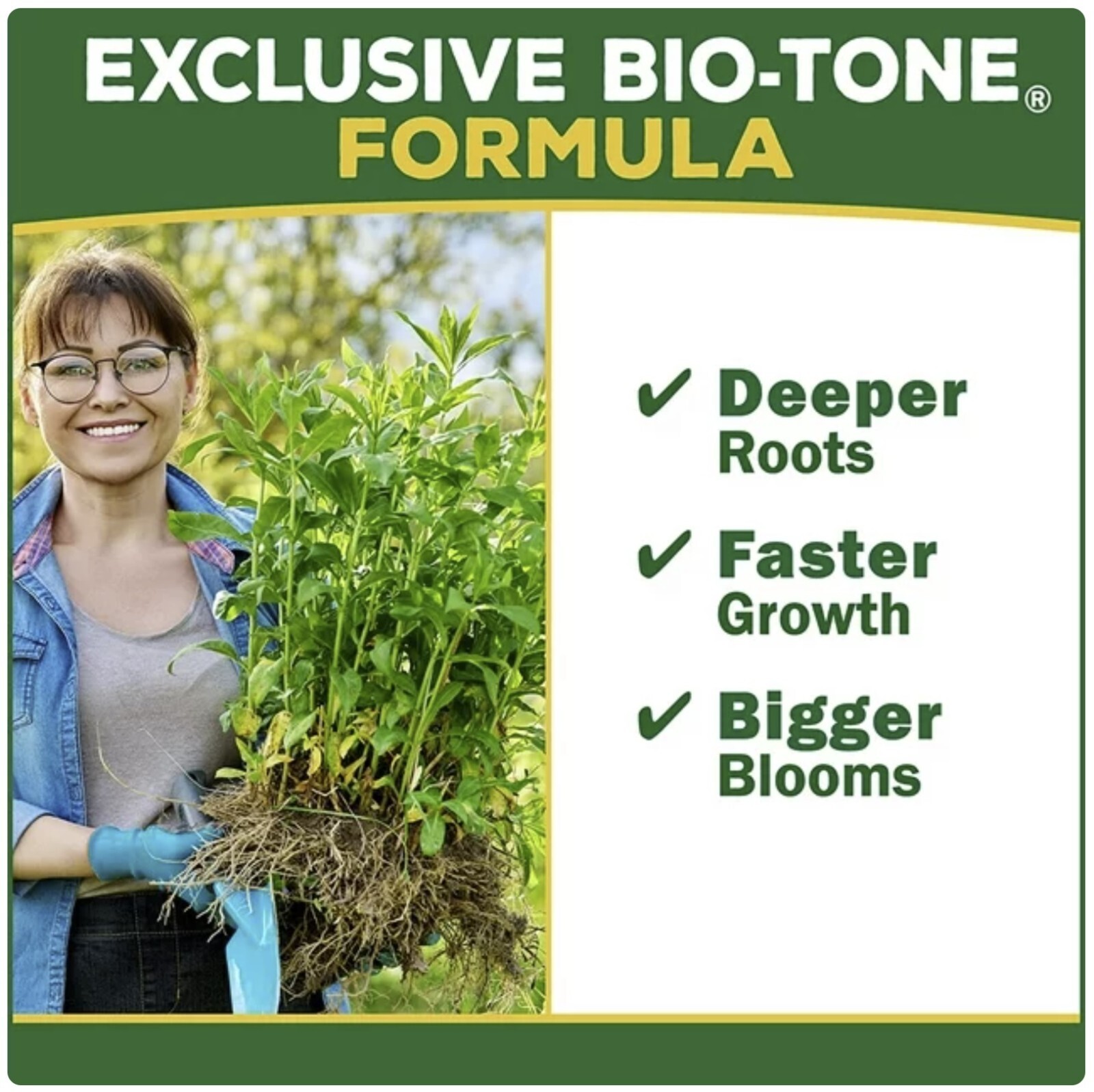 Espoma GT36 36 LB Bag Of Garden Tone All Natural Vegetable Food – Quantity of 2