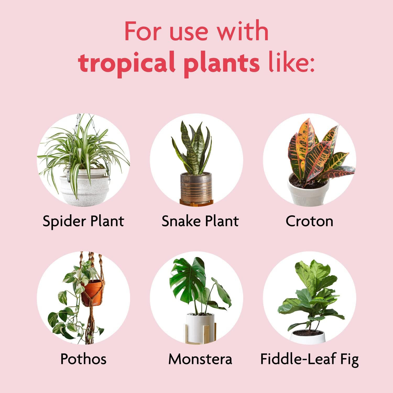 Tropical Houseplant Food – Liquid Fertilizer for Tropical Houseplants, 8 Fl. …