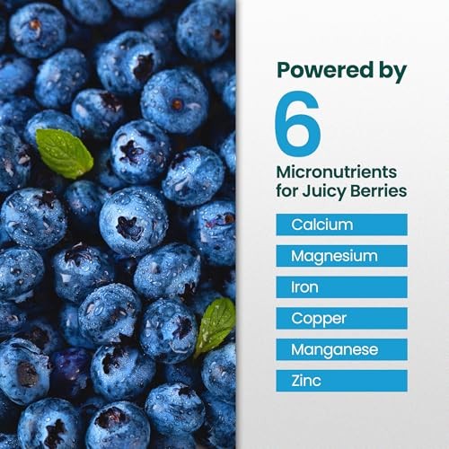 16oz Blueberry Fertilizer – Liquid Plant Food for Sweet, Plump Berries