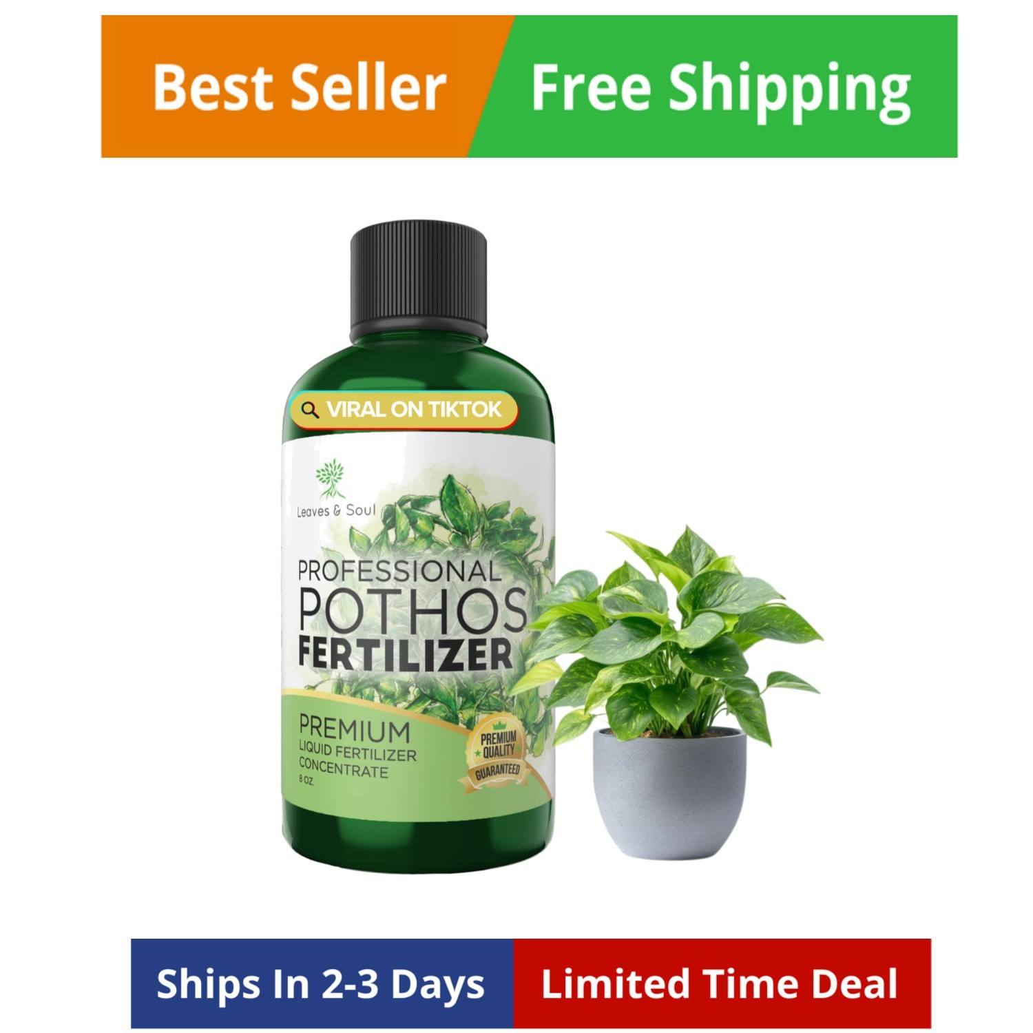 Professional Pothos Fertilizer Liquid 3-1-2 Concentrate 8 oz, Plant Food for…
