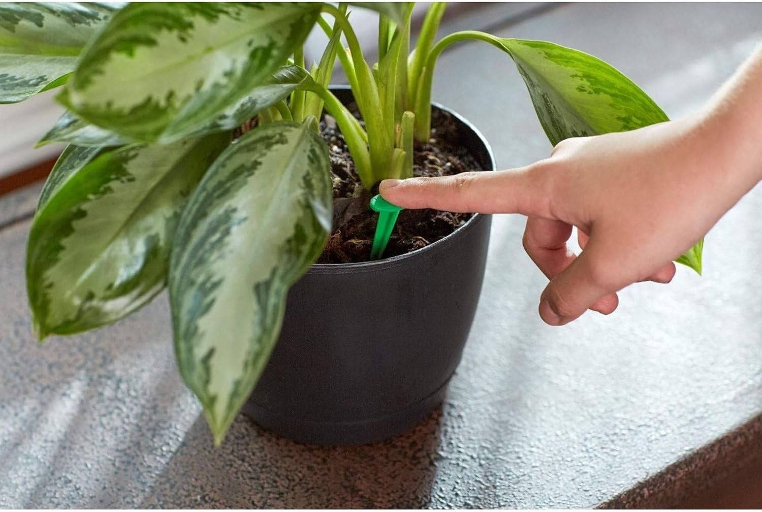 Indoor Plant Food Spikes – 24 Spikes for 2- Continuous Feeding, NPK 6-12-6