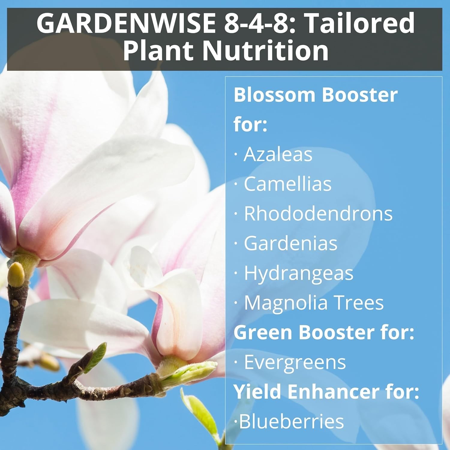 8-4-8 Fertilizer for Azaleas & Gardenias – 12 OZ of Botanical Bliss