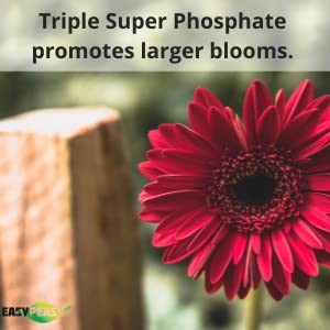TRIPLE SUPER PHOSPHATE FERTILIZER 0-46-0 | phosphorus fertilizer for gardens,…