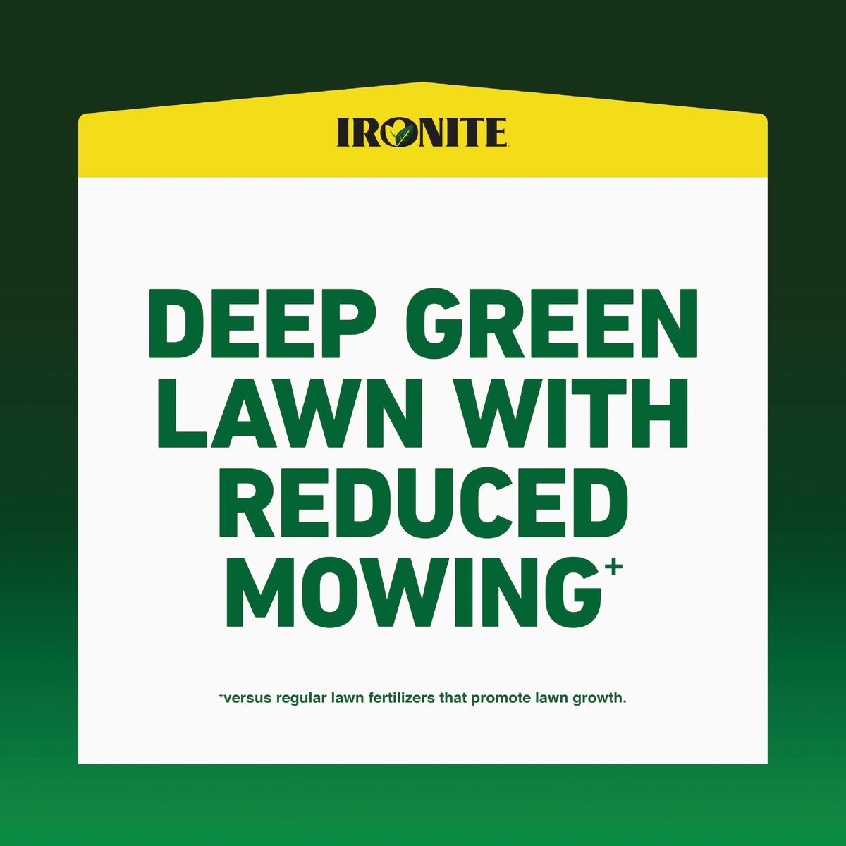 Ironite 3 Lb. 1000 Sq. Ft. Coverage Soluble Iron 100544882 Ironite 100544882