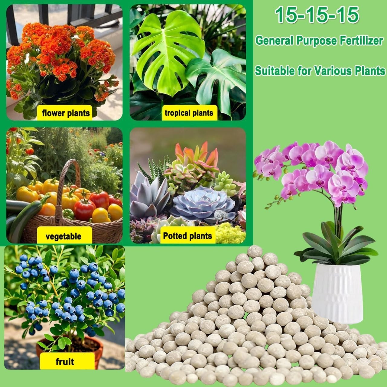 Effective Granular Fertilizer 2.9 Pounds for Healthy Plants and Vibrant Blooms