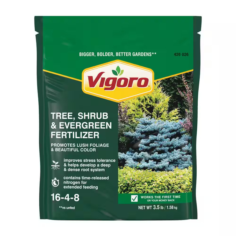 Tree Shrub Evergreen Fertilizer Plant Food 16-4-8 Granular Slow Release 3.5 lb