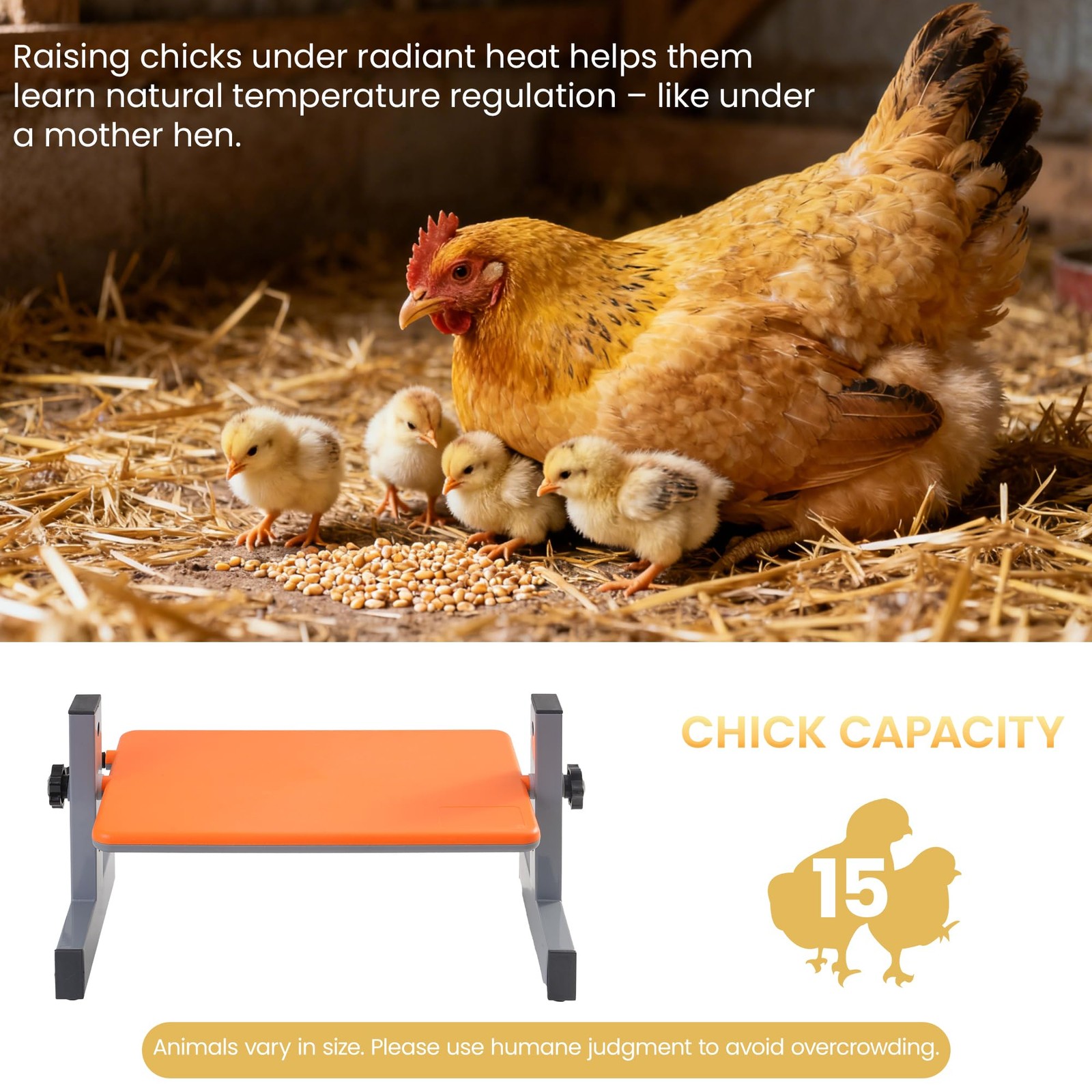 Pettemp Smart Chick Brooder Heater Digital Adjustable Radiant Chicken Coop