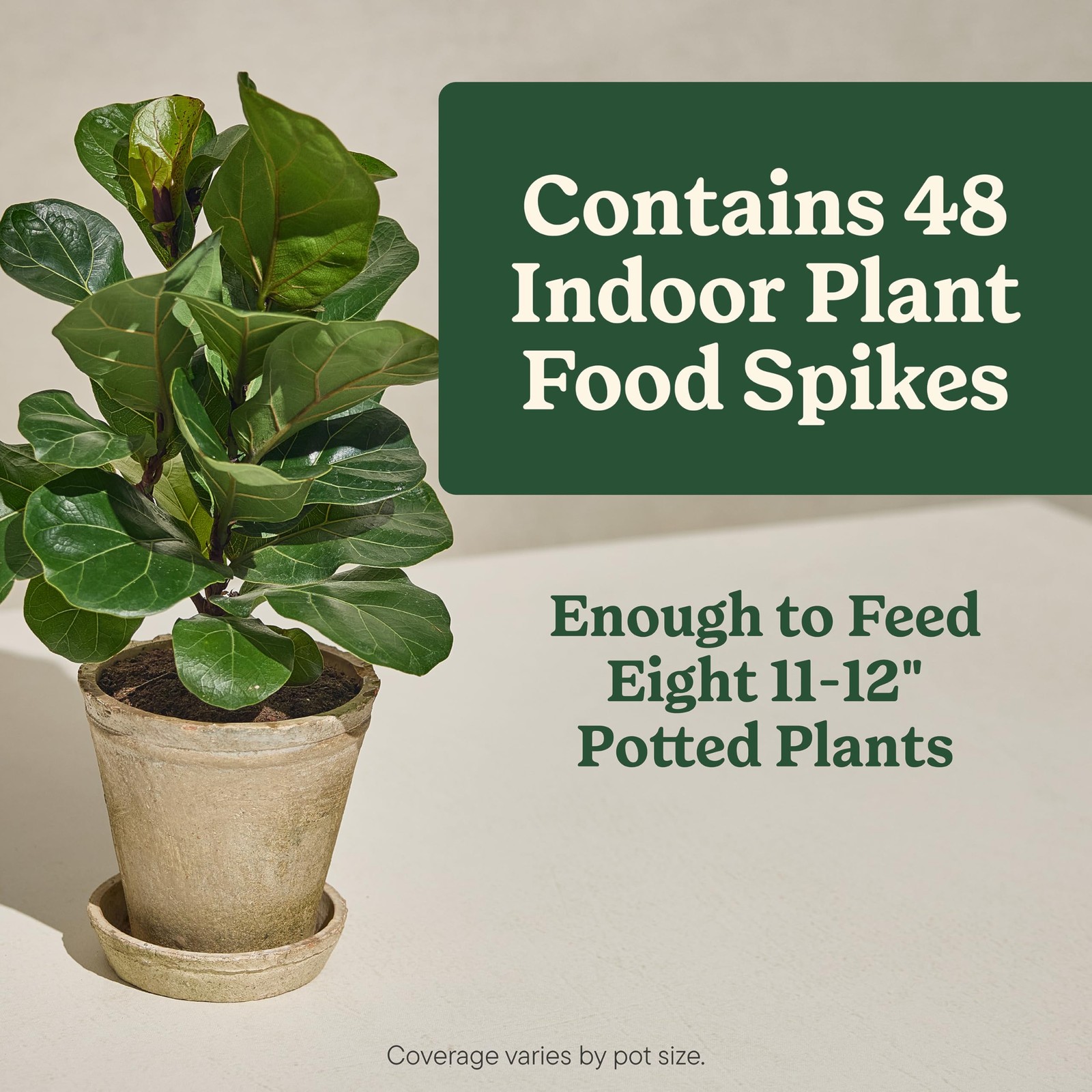 Plant Food Spikes Fertilizer 48 Count for Indoor Plants