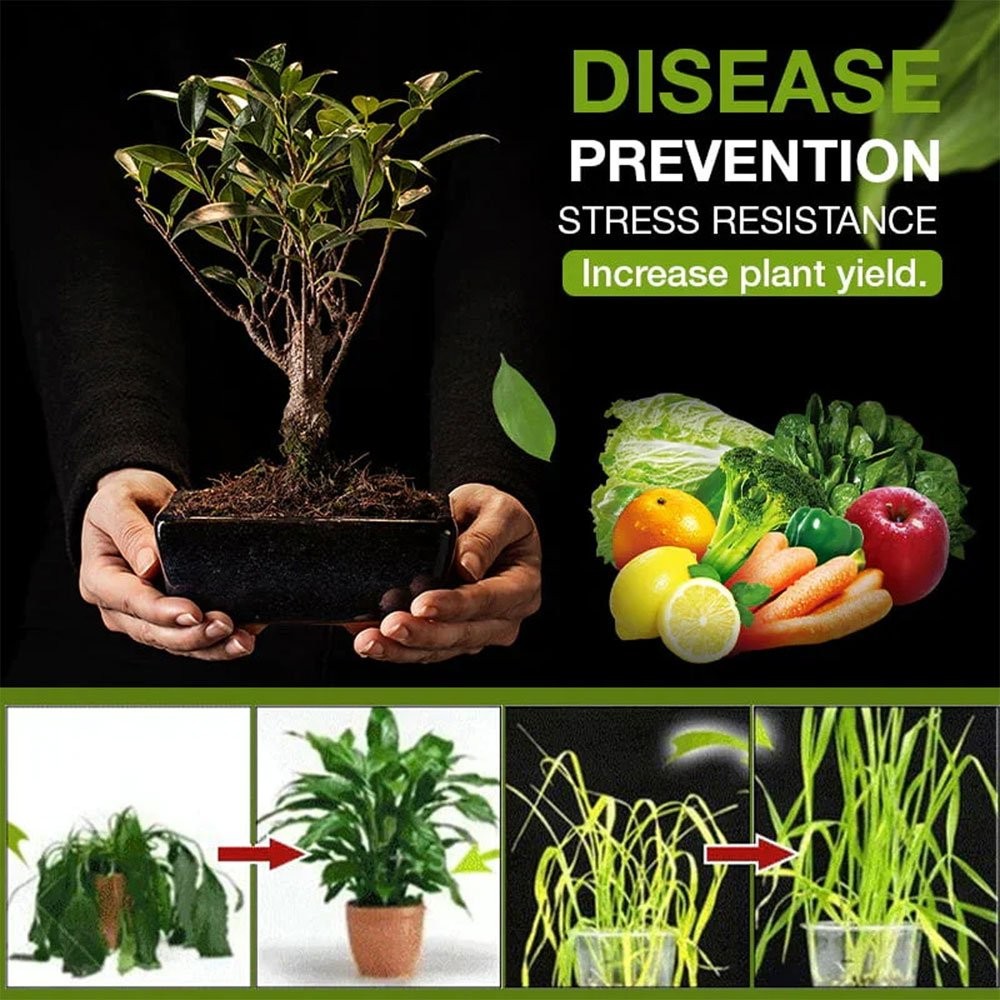 Soil Activator – Soil Conditioner,Plant and FlowerFertilizer 60g 120g US