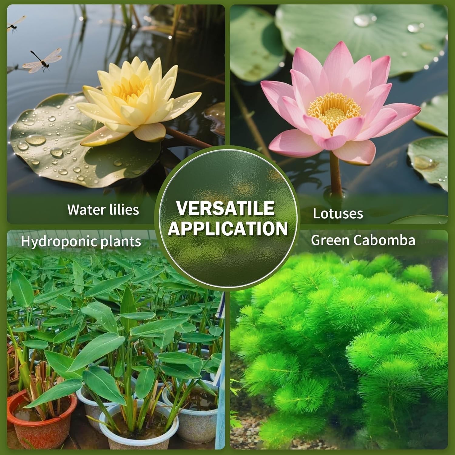 Aquatic Plant Soil for Lotus & Pond Plants/Aquaquarium Substrate 3…. Fast Ship