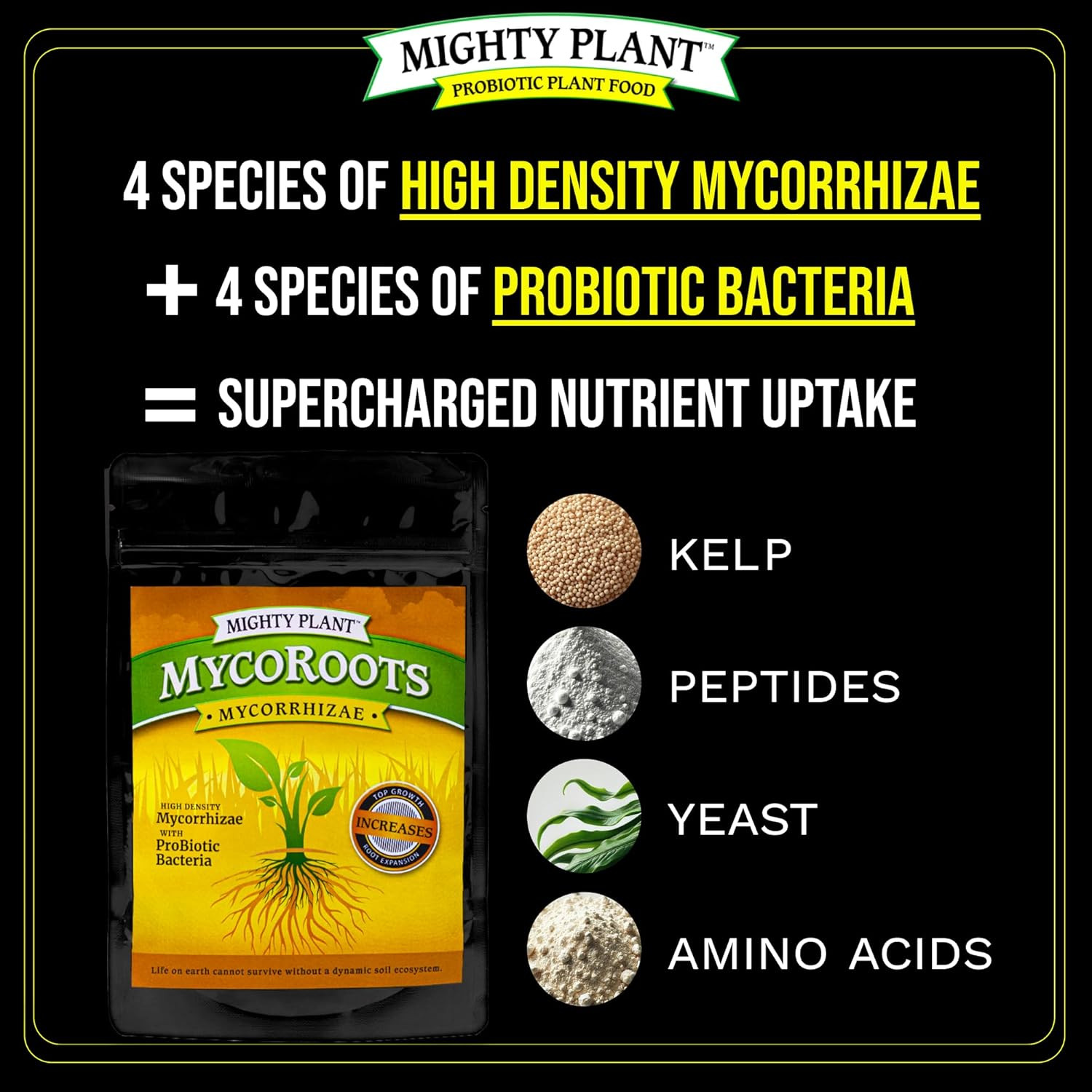 Organic Root Enhancer Ultra-Concentrated Mycorrhizal Fungi Mycoroots – 500 Spore