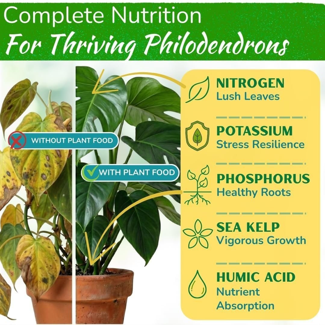 Philodendron Fertilizer – Indoor House Plant Fertilizer – Tropical Plant Food