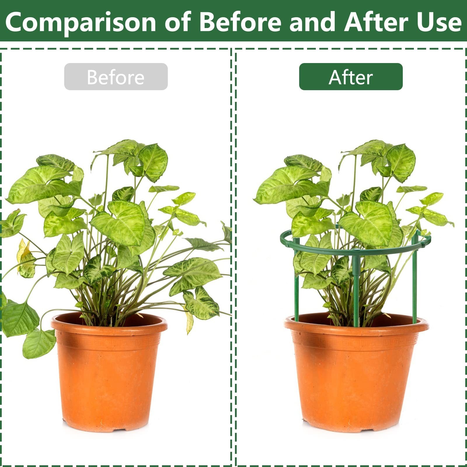 36Packs Plant Support Stake Half Round Plant Support for Indoor Plants, Stack…