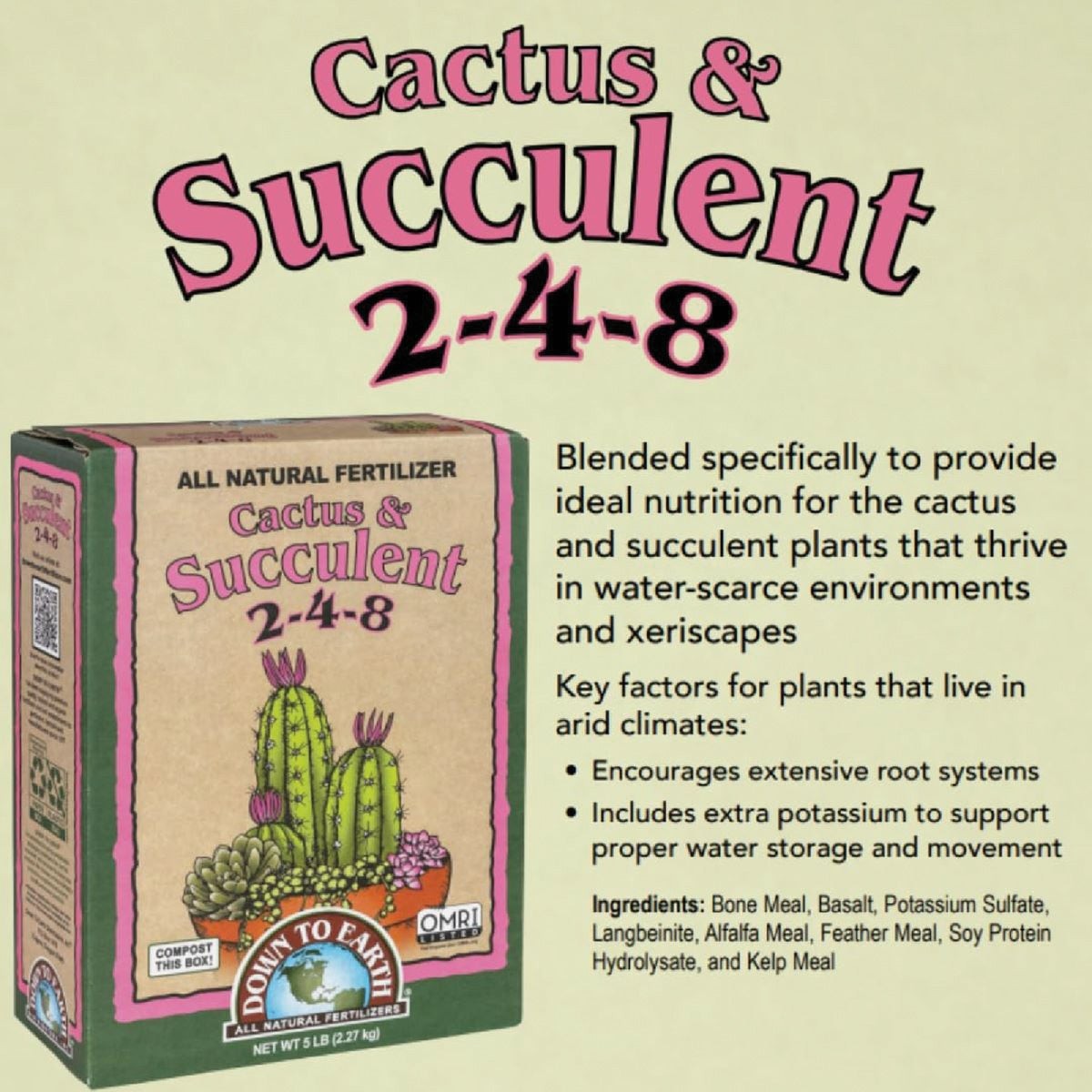 Down To Earth 1 Lb. 2-4-8 Cactus Mix DTE17878 Down To Earth DTE17878