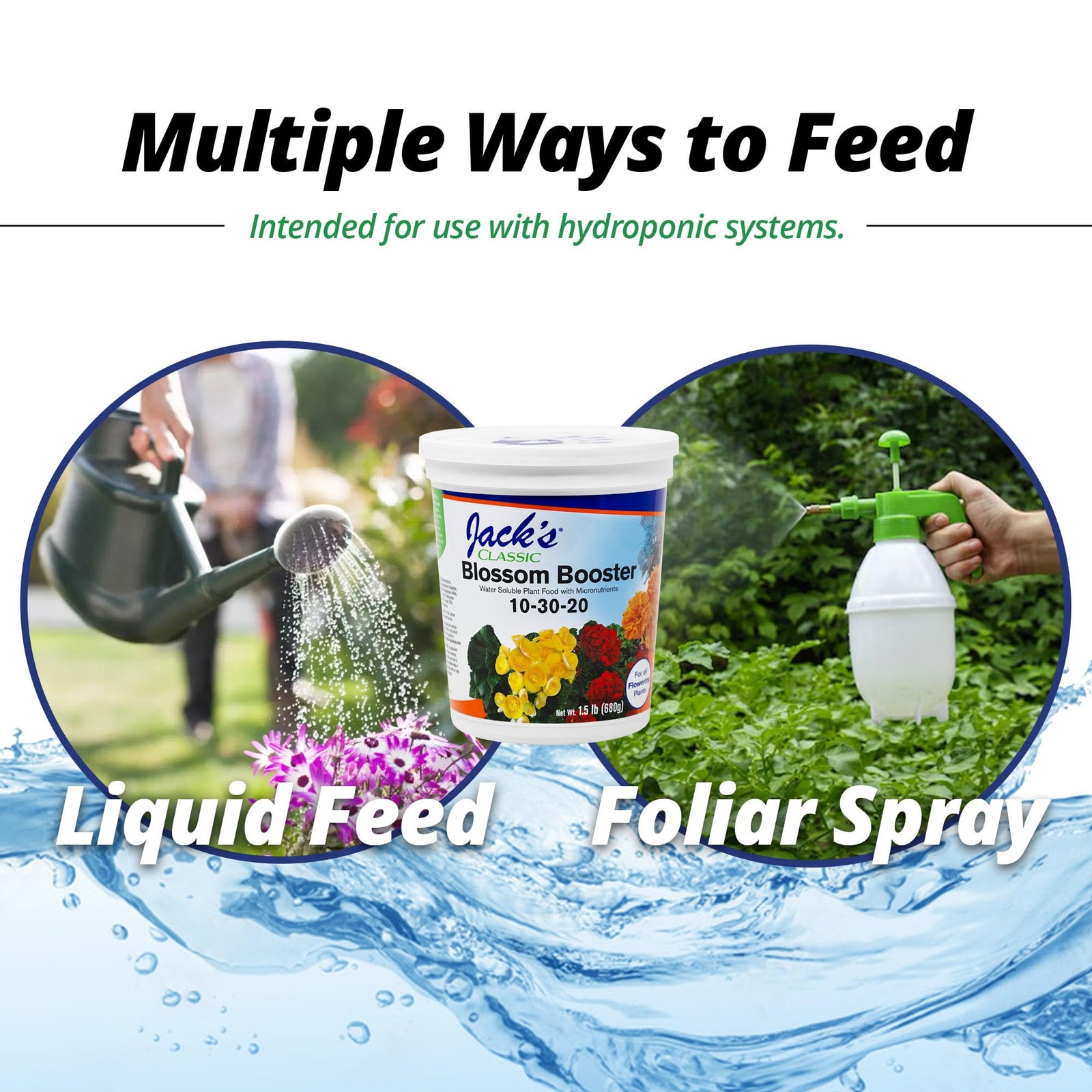 10-30-20 Blossom Booster Water-Soluble Fertilizer with Micronutrients for Inc…