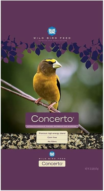 Blue Seal Concerto Wild Bird Seed | Premium High-Energy Blend | No Fillers, Corn