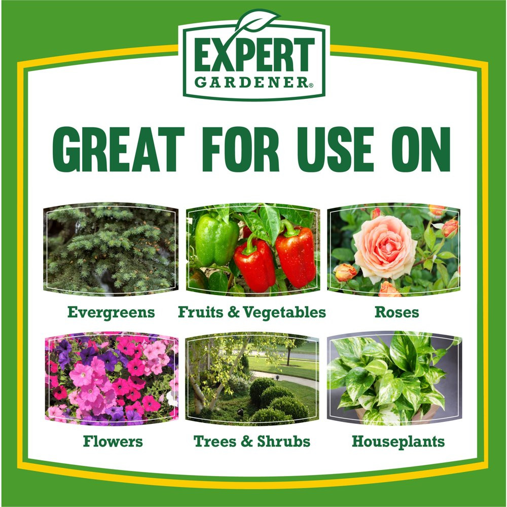 PLANT FOOD FERTILIZER All-Purpose Water Soluble