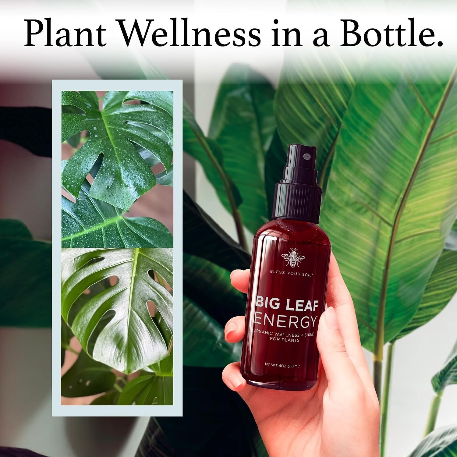 Neem Oil Spray for Plants – Big Leaf Energy, with Essential Oils – Ready-to-U…