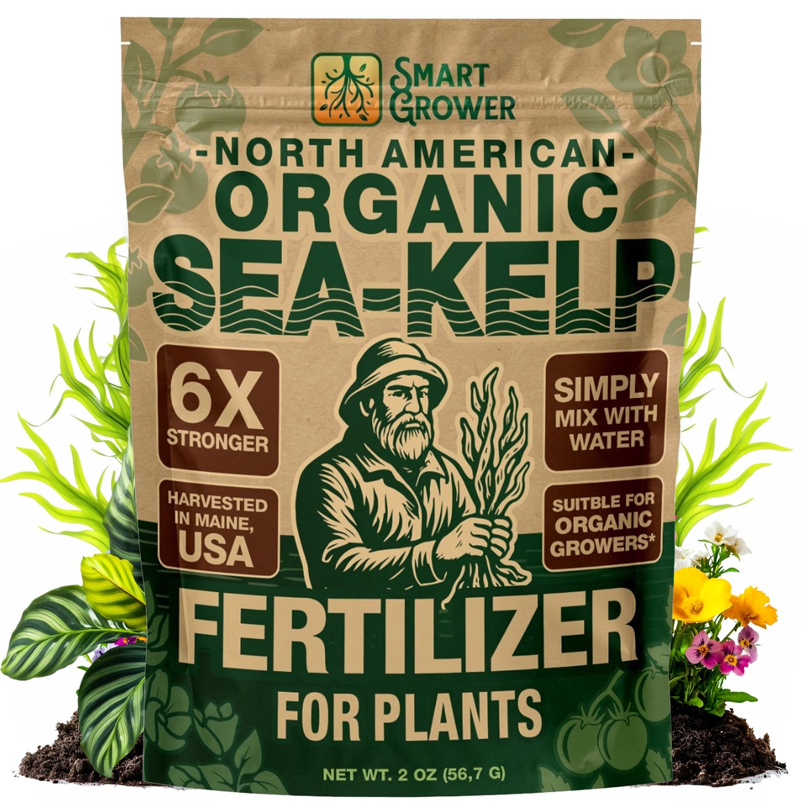 Organic Sea Kelp Fertilizer for Plants – Water-Soluble – Makes 50 2 Ounces