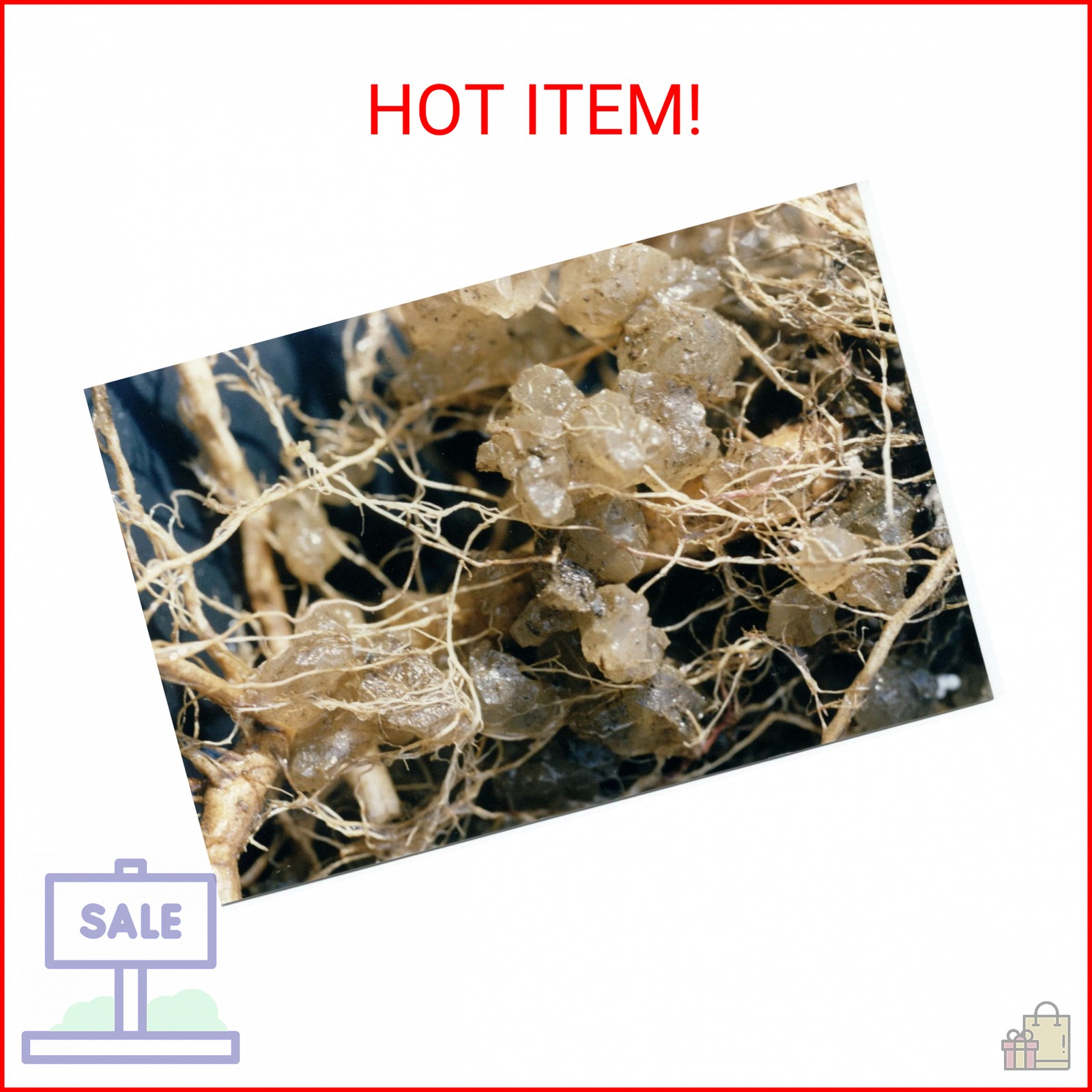 Soil Moist JCD-05SM 8 oz Hydrogel Granules