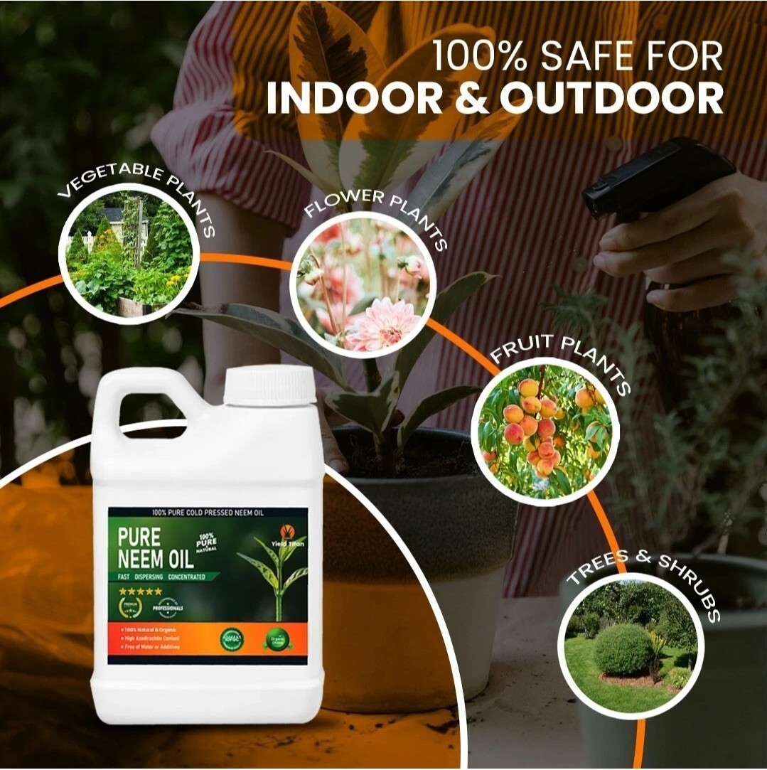 Yield Titan’s 100% Pure Cold Pressed Concentrated Neem Oil (8 Oz)
