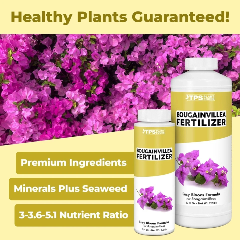 Bougainvillea Fertilizer – Liquid Plant Food for 8 oz (1/2 Pint)