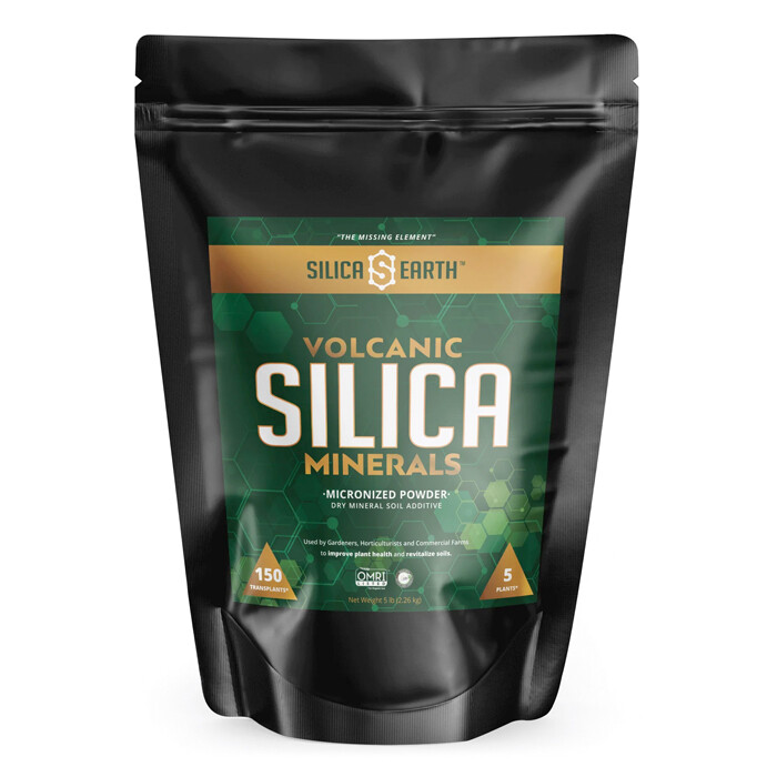 Silica Earth Volcanic Silica Minerals Micronized Powder Developed by Growers