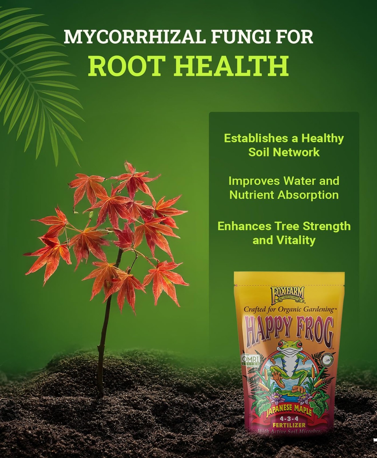 FoxFarm Happy Frog Japanese Maple Fertilizer, Nutrient-Rich Formula for Japan…