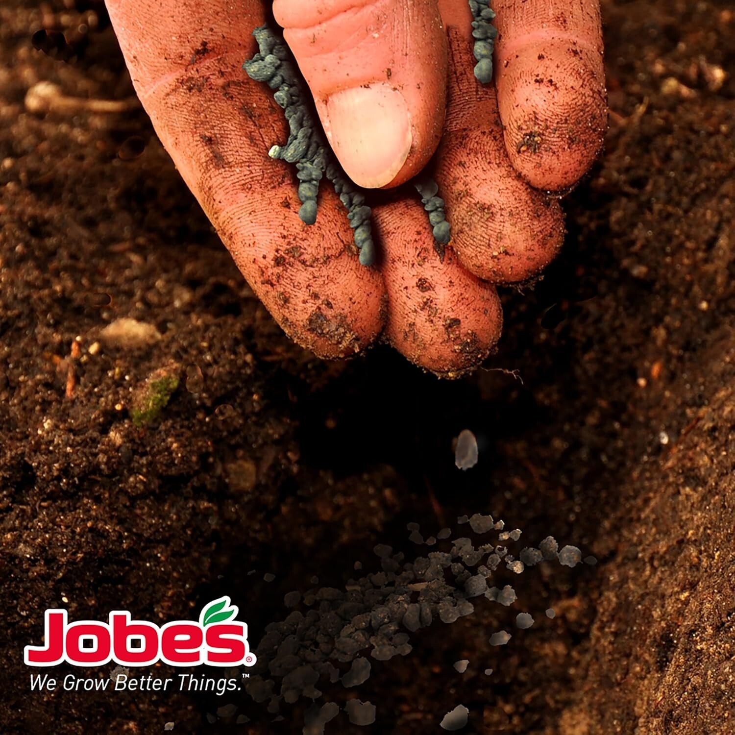 4 lbs Jobe’s Organic Palm Fertilizer – Easy Application, Lush Growth Solution