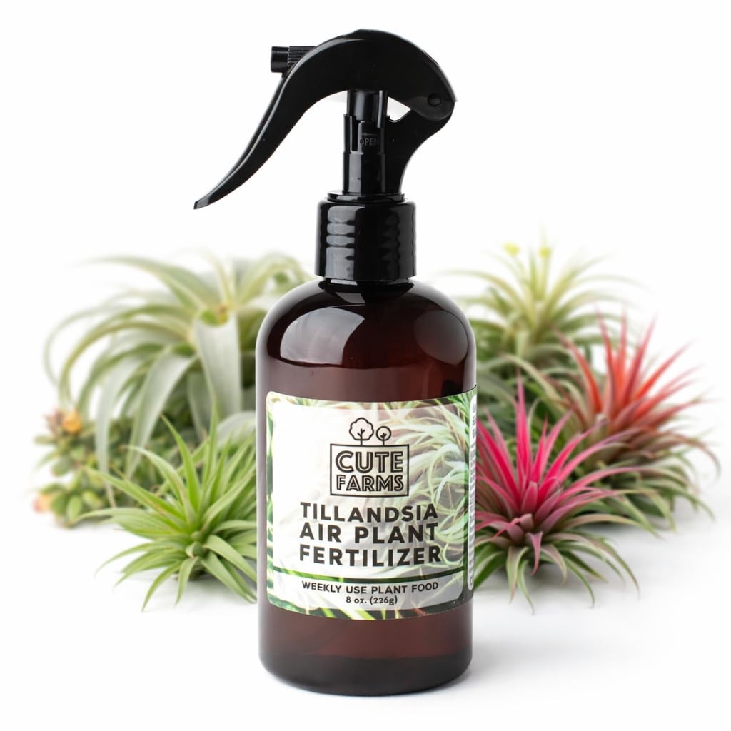 Air Plant Fertilizer Gentle Weekly Use 8 oz. Spray Bottle Formulated Nutrients